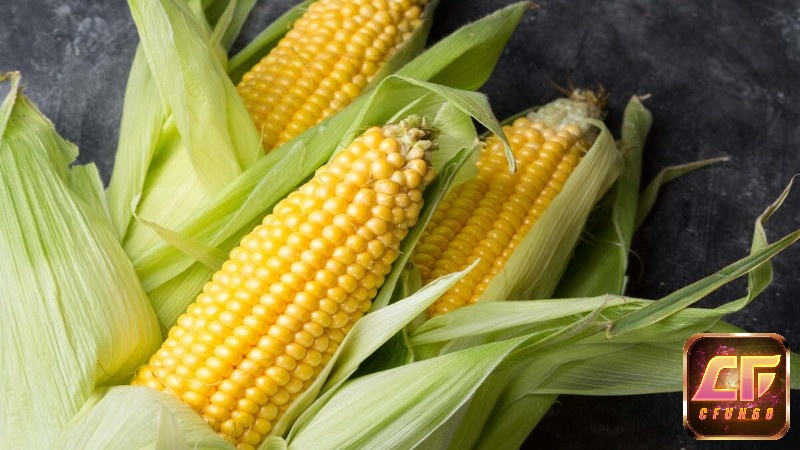 Bắp cung cấp một lượng carbohydrate lớn cho gà đá