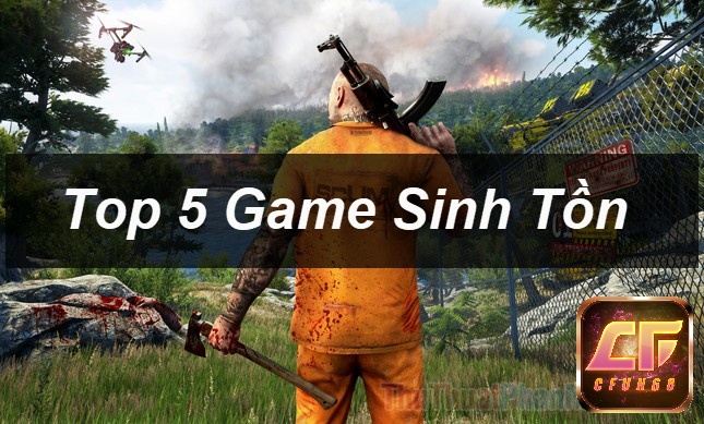 Giải đáp thắc mắc khi tìm kiếm top game sinh tồn nhẹ